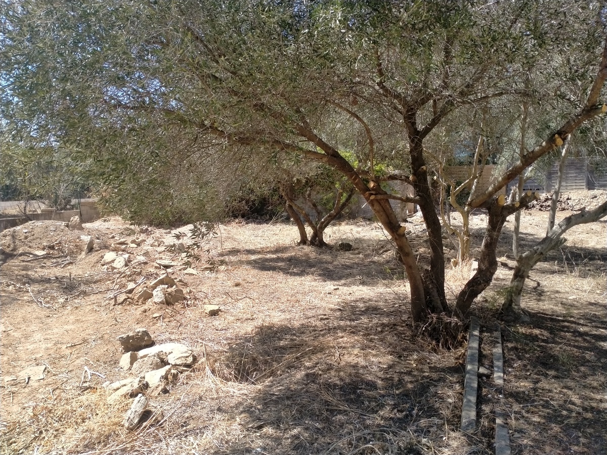 Terrain - La Ciotat