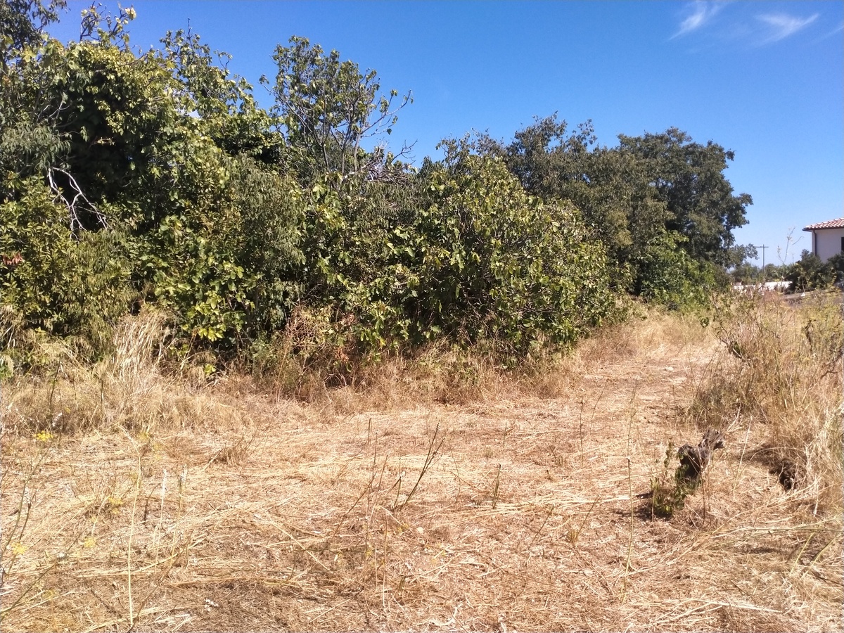 Terrain constructible - La Ciotat