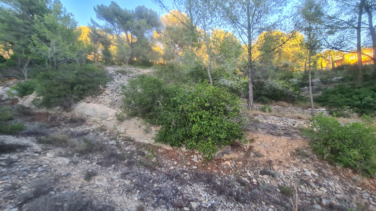 Terrain - Bandol